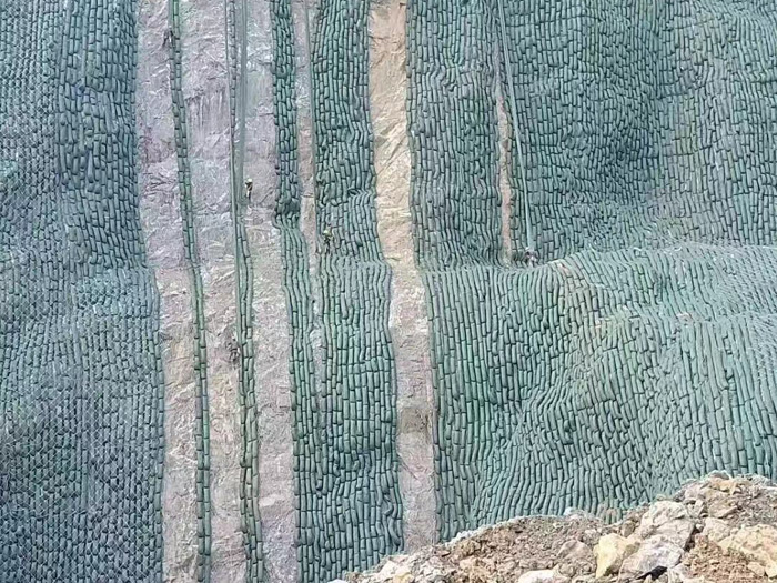 生态袋案例